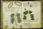 Episode 65: Voynich Manuscript